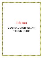 Tiểu luận: VĂN HÓA KINH DOANH TRUNG QUỐC docx