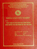 thực trạng và giải pháp phát triển ngành công nghiệp phụ trợ ngành dệt may việt nam
