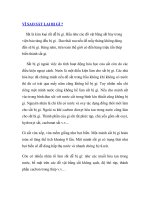 VÌ SAO SẮT LẠI BỊ GỈ ? potx