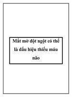 Mắt mờ đột ngột có thể là dấu hiệu thiếu máu não pptx