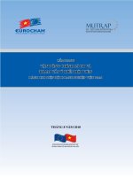 Cẩm nang chính sách và tham vấn ý kiến hội viên cho hiệp hội doanh nghiệp Việt Nam pot