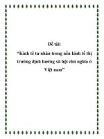 Đề tài: “Kinh tế tư nhân trong nền kinh tế thị trường định hướng xã hội chủ nghĩa ở Việt nam” pdf