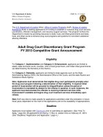 Adult Drug Court Discretionary Grant Program FY 2013 Competitive Grant Announcement doc