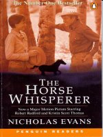 The horse whisperer