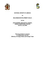 NATIONAL REPORT OF JAMAICA on MILLENNIUM DEVELOPMENT GOALS for the UN ECONOMIC AND SOCIAL COUNCIL ANNUAL MINISTERIAL REVIEW Geneva, July 2009 docx