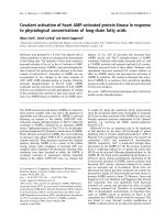 Báo cáo khoa học: Covalent activation of heart AMP-activated protein kinase in response to physiological concentrations of long-chain fatty acids docx