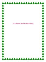 Ăn canh bầu chữa đái tháo đường. pptx