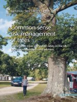 Common sense risk management of trees docx
