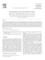 Rural industries and water pollution in China pot