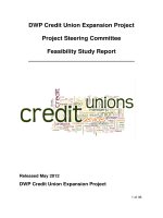 DWP Credit Union Expansion Project Project Steering Committee Feasibility Study Report pptx