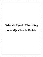 Salar de Uyuni: Cánh đồng muối độc đáo của Bolivia ppt