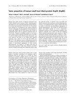 Báo cáo khóa học: Some properties of human small heat shock protein Hsp20 (HspB6) potx