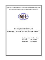 kế hoạch kinh doanh dịch vụ cung ứng nguồn nhân lực