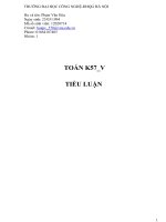 Tiểu luận: Các hàm sơ cấp cơ bản doc