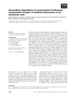 Báo cáo khoa học: Mammalian xanthine oxidoreductase – mechanism of transition from xanthine dehydrogenase to xanthine oxidase pdf