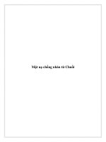 Mặt nạ chống nhăn từ Chuối ppt