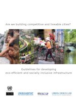 Guidelines for developing eco-efficient and socially inclusive infrastructure doc