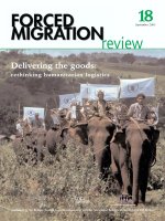 Delivering the goods: rethinking humanitarian logistics pot