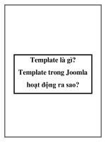 Template là gì? Template trong Joomla hoạt động ra sao? doc