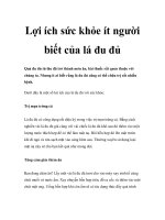 Lợi ích sức khỏe ít người biết của lá đu đủ pdf