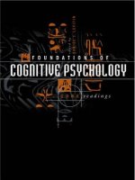Foundations of Cognitive Psychology: Core Readings pot