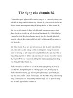 Tác dụng của vitamin B2 ppt