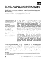 Báo cáo khoa học: The relative contribution of mannose salvage pathways to glycosylation in PMI-deﬁcient mouse embryonic ﬁbroblast cells pdf