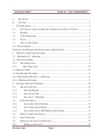 Xây dựng kế hoạch E -Marketing cho công ty CP ĐTTM Việt Xưa doc