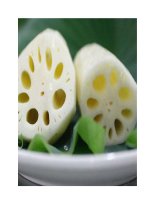 Chứng béo phì và các món ăn phù hợp docx