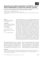 Báo cáo khoa học: Hydrogen bond residue positioning in the 599–611 loop of thimet oligopeptidase is required for substrate selection pdf