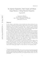 Algebraic singularities, finite graphs and d brane theories   y  he