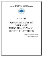 TIỂU LUẬN QUAN HỆ KINH TẾ VIỆT - MỸ THỰC TRẠNG VÀ XU HƯỚNG PHÁT TRIỂN