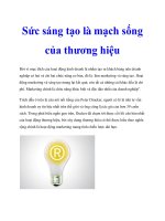 Sức sáng tạo là mạch sống của thương hiệu potx