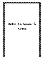 Biofloc - Các Nguyên Tắc Cơ Bản doc