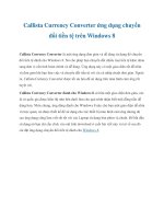 Callista Currency Converter ứng dụng chuyển đổi tiền tệ trên Windows 8 pptx
