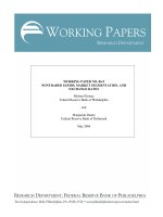 WORKING PAPER NO. 06-9 NONTRADED GOODS, MARKET SEGMENTATION, AND EXCHANGE RATES pot