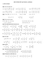ĐỀ CƯƠNG ÔN TẬP TOÁN 6