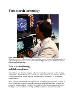 Food starch technology docx