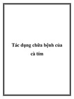 Tác dụng chữa bệnh của cà tím pot