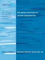 Research Report Series No. 18: The water footprint of cotton consumption docx