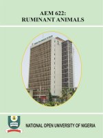 AEM 622: RUMINANT ANIMALS pot