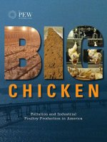 Pollution and Industrial Poultry Production in America potx