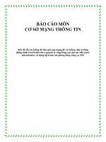 BÁO CÁO MÔN CƠ SỞ MẠNG THÔNG TIN pptx