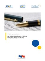 Khuyến nghị chính sách Các đề xuất sửa đổi thông lệ điều tra Chống bán phá giá của Hoa Kỳ docx