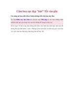 Cắm hoa cực đẹp 