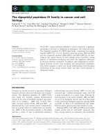 Báo cáo khoa học: The dipeptidyl peptidase IV family in cancer and cell biology pot