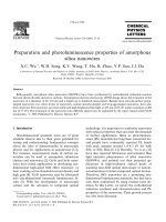 Preparation and photoluminescence properties of amorphous silica nanowires