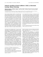 Báo cáo Y học: Substrate speciﬁcity of human kallikrein 2 (hK2) as determined by phage display technology docx