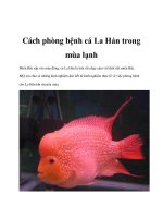 Cách phòng bệnh cá La Hán trong mùa lạnh potx