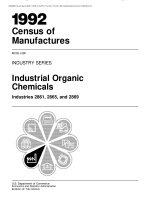 Industrial Organic Chemicals Industries 2861, 2865, and 2869 pot